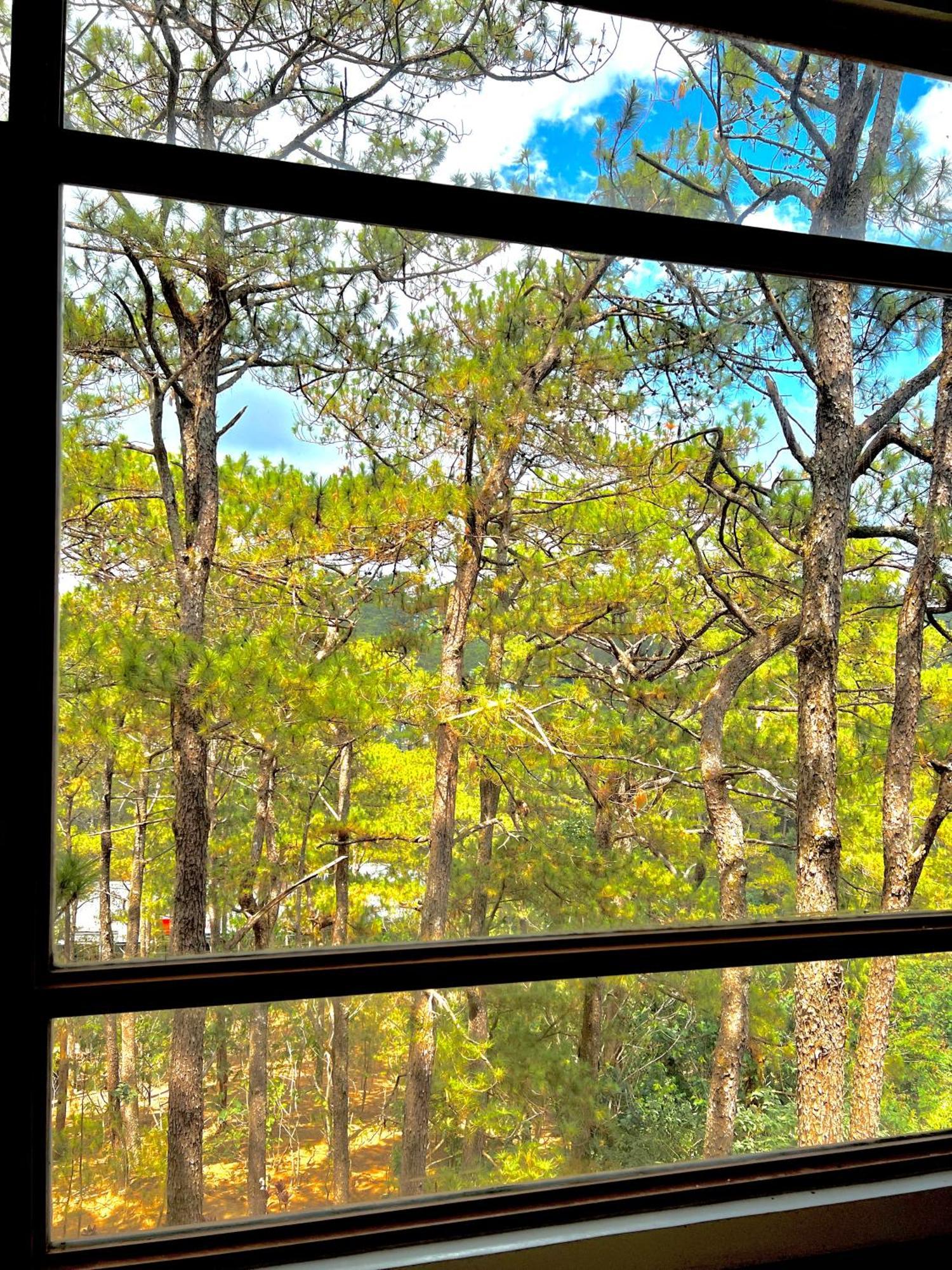 Baguio Forest Lodge At Camp John Hay 003 Багио Экстерьер фото